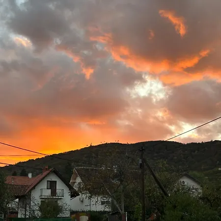 Dunja Διαμέρισμα *